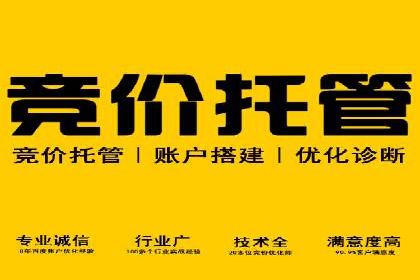 谷歌竞价案例：提升品牌知名度的广告投放